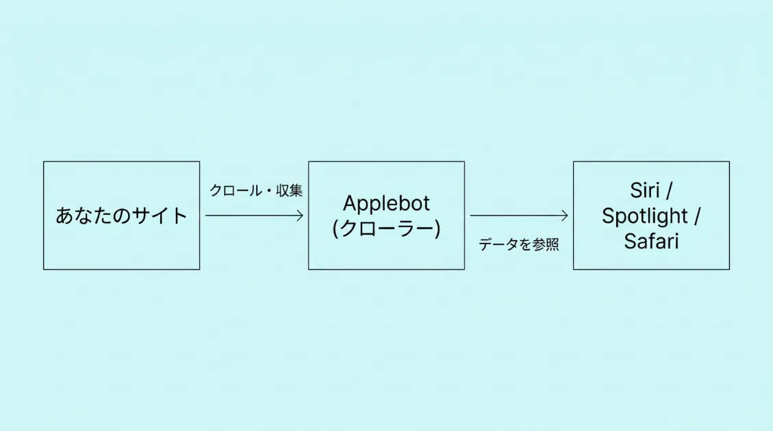 ApplebotがWebサイトを収集し、SiriやSpotlightがそのデータを参照する仕組みの図解