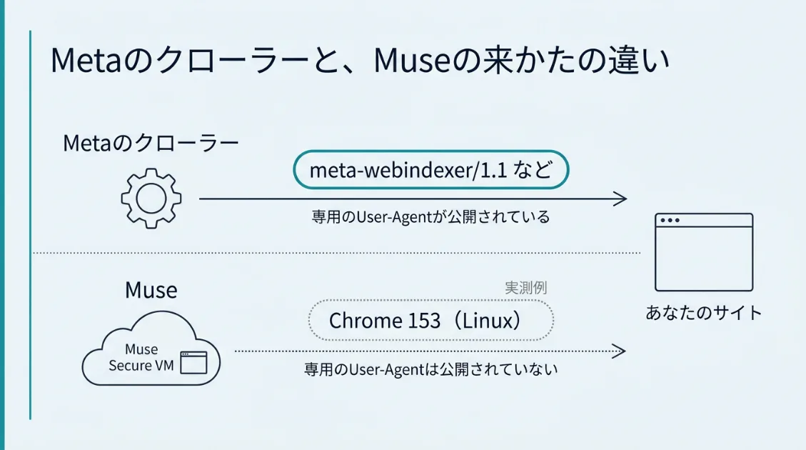 Metaのクローラーは専用のUser-Agentを名乗ってページを取得し、MuseはMuse Secure VMのブラウザを操作してWebサイトを開くことを比べた図